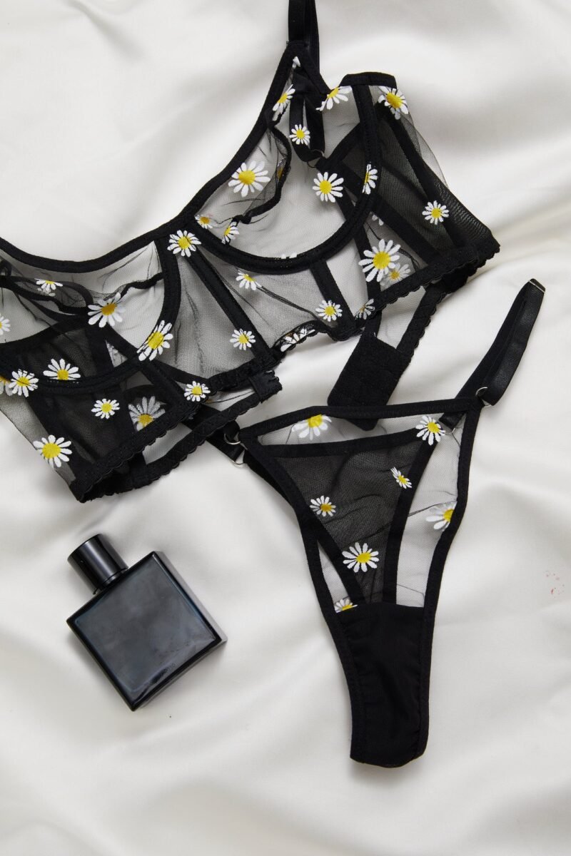 Corset Bra and Panty Set - Image 5